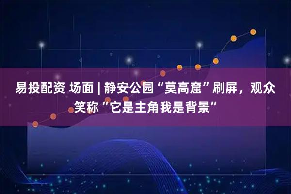 易投配资 场面 | 静安公园“莫高窟”刷屏，观众笑称“它是主角我是背景”