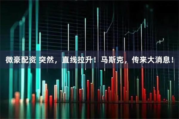 微豪配资 突然，直线拉升！马斯克，传来大消息！