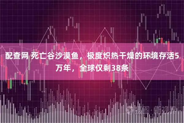 配查网 死亡谷沙漠鱼，极度炽热干燥的环境存活5万年，全球仅剩38条