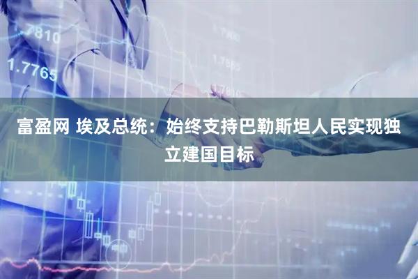 富盈网 埃及总统：始终支持巴勒斯坦人民实现独立建国目标